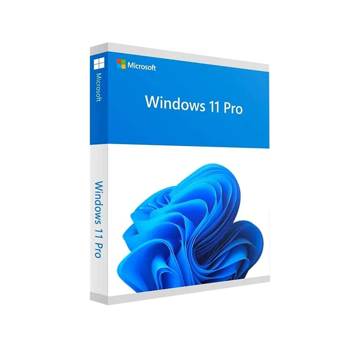 Windows 11 Pro Permanente